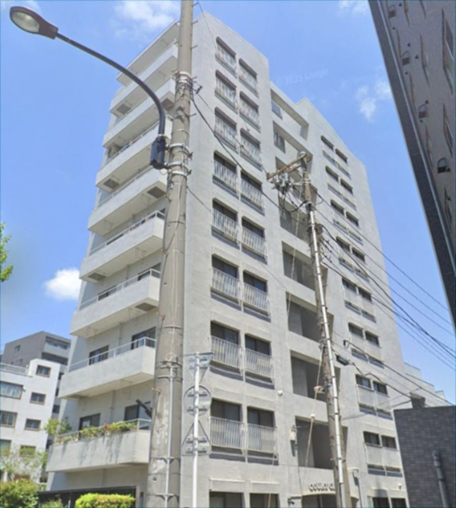 外観：313004672578