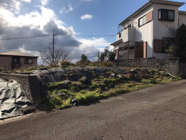 外観：330000084662