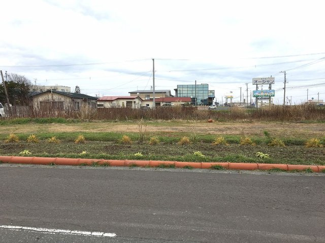 北西側道路より敷地を撮影した写真です