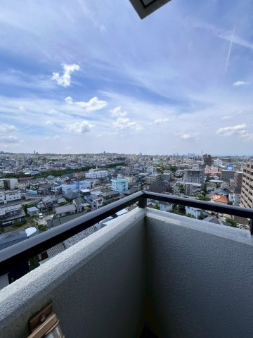 展望