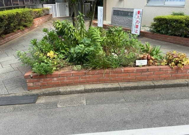中庭（パティオ）とは、一つの建築物の内部に設けられた、壁などで囲われている庭のことを指します。コの字型、ロの字型が主流ですが、L字型の中庭もあります。最近では、インテリア性の高さからも人気があります。