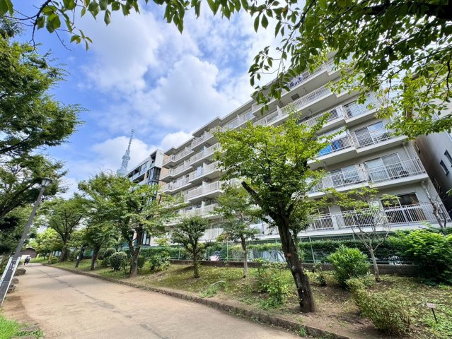 緑に包まれた落ち着きある外観。錦糸町徒歩圏でありながら、公園を身近に感じる住環境が日々の暮らしを彩ります。