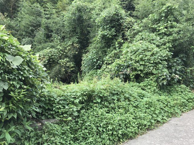 外観：346000012137