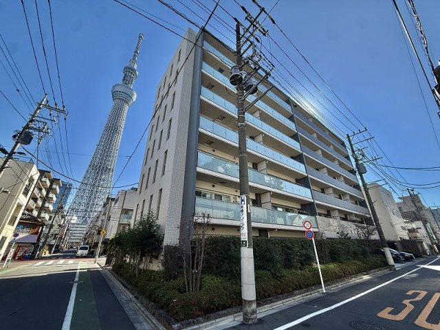 外観：313004651065