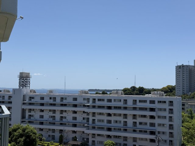 展望