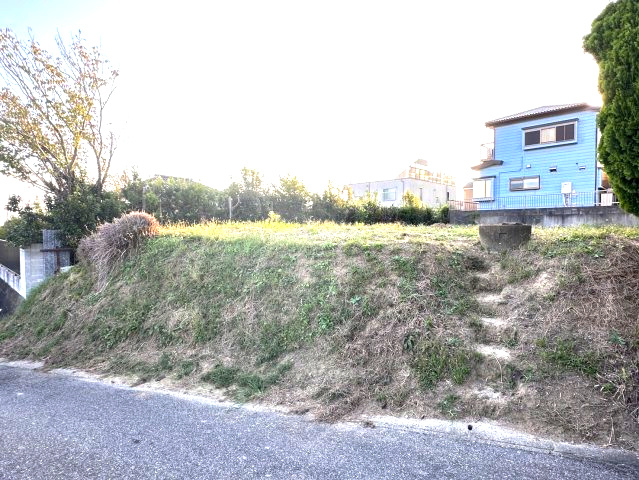 外観：312001228828