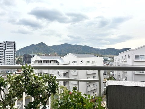 展望