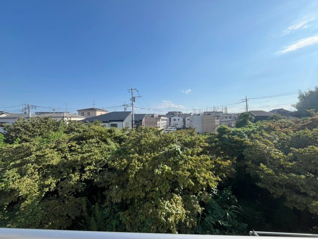 展望