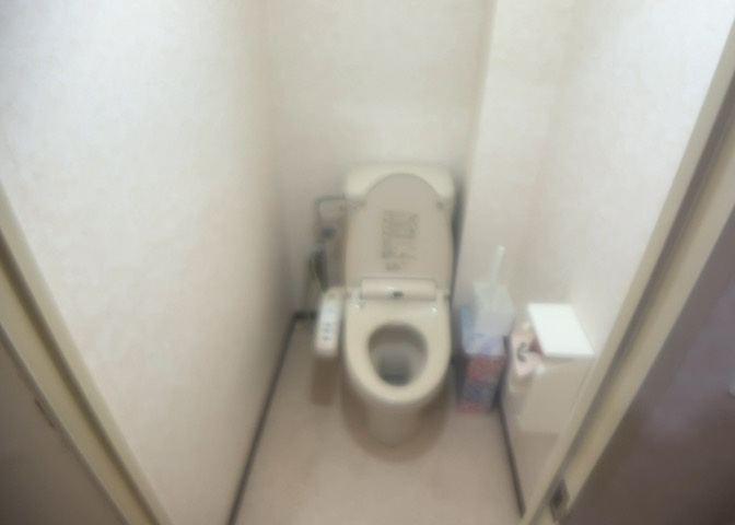 トイレは大きさや形、機能、抗菌性などが異なる多種多彩なタイプが各メーカーから出ています。それぞれに良さがあるため、事前にどういったタイプのトイレがいいのかをご家庭内で決めて、内見に行くといいでしょう。