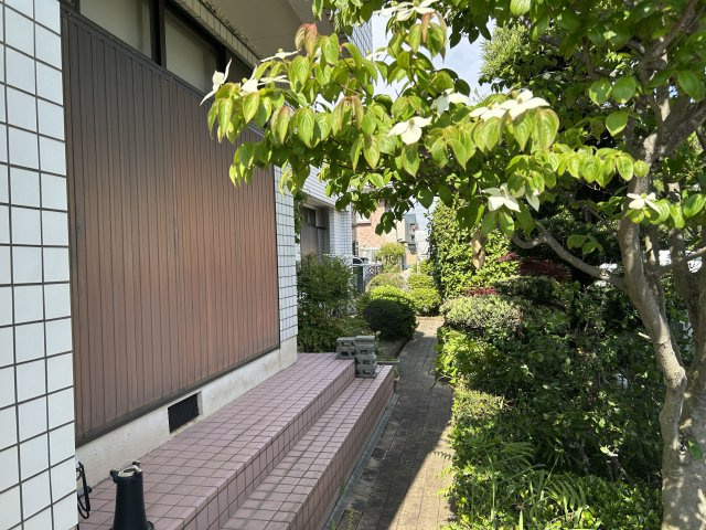 庭