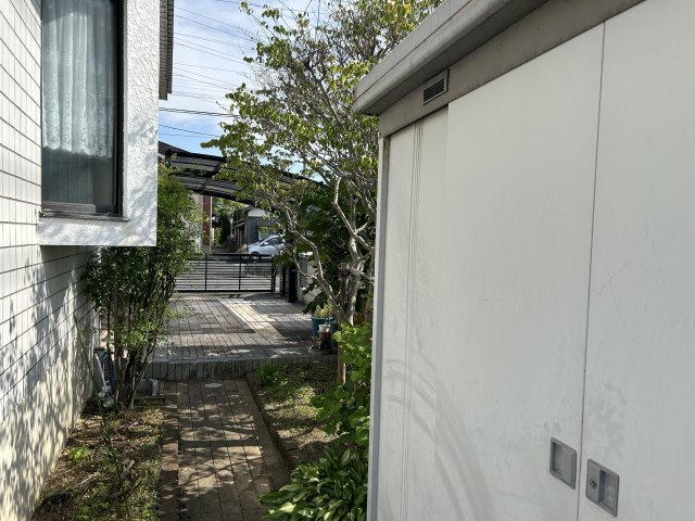 庭