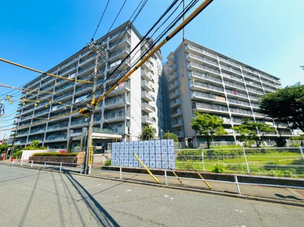 外観：313004565079