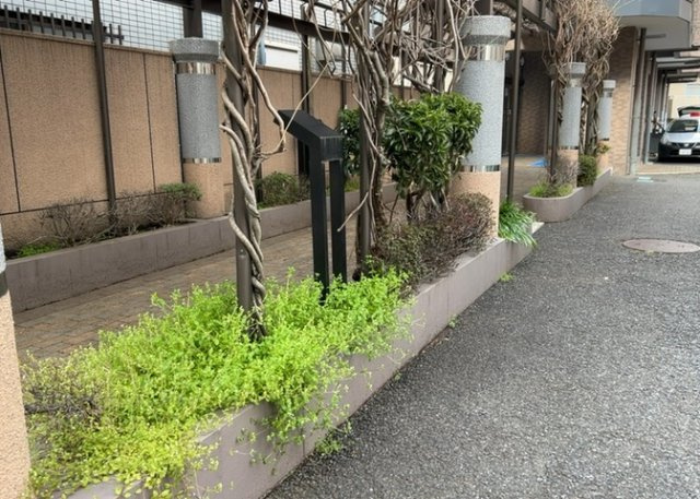 物件によっては、入居者が個人的に使用できる専用庭がついているものもあります。また、住宅の中にある土間の部分を庭と呼ぶこともあります。庭の用途は住む人によって変わり、それによってデザインもさまざまです。