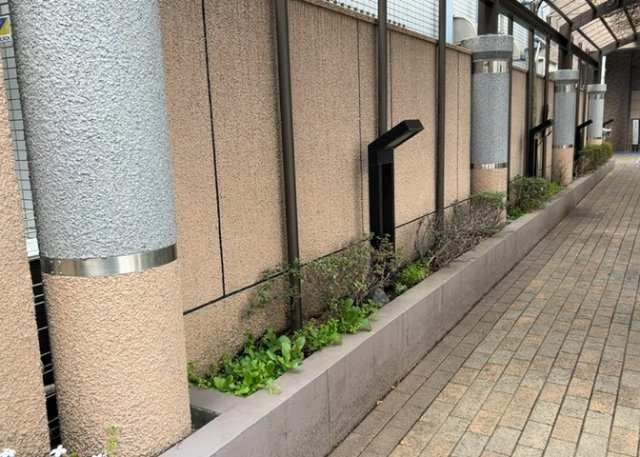 中庭（パティオ）とは、一つの建築物の内部に設けられた、壁などで囲われている庭のことを指します。コの字型、ロの字型が主流ですが、L字型の中庭もあります。最近では、インテリア性の高さからも人気があります。
