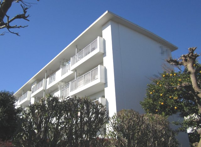 外観：314001941328