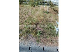 飯野 2筆分 売地104坪の外観