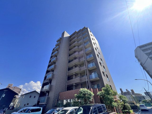 外観：334000237729