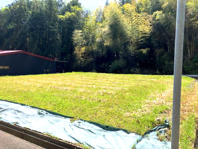 外観：328000618917