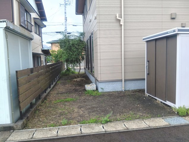 庭