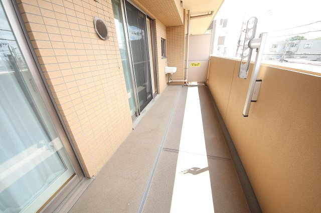南向きバルコニーで陽当たり良好！便利な手洗器付でちょっとしたガーデニングも楽しめそう