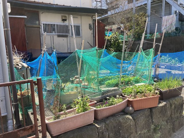 外観：346000037326