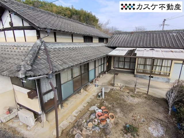 庭