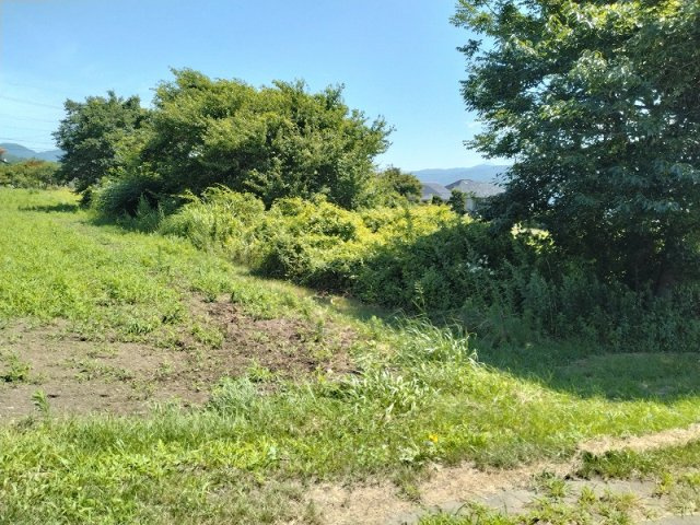 外観：320000026902