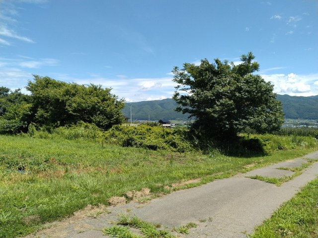 外観と前面道路