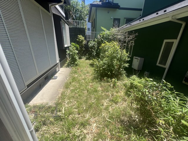 庭