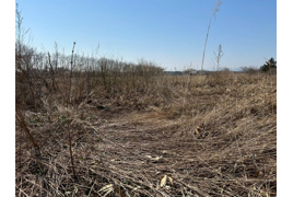 中沼町土地の外観