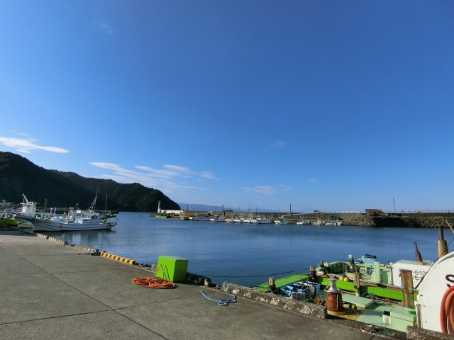 すぐ目の前にある港です。