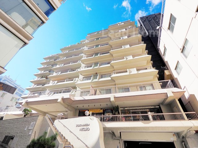 外観：313004648841