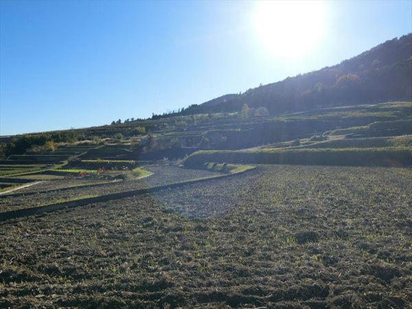 【上市之瀬高台111坪土地の周辺】