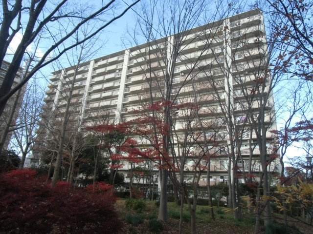 外観：312001205147