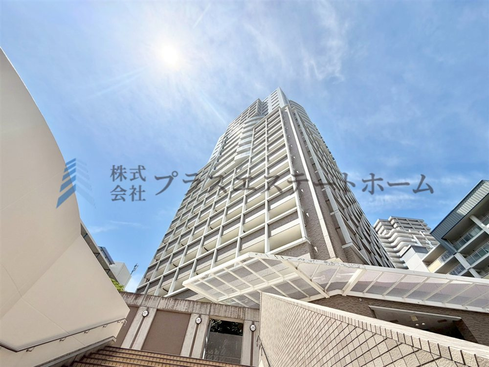 外観：328000659585