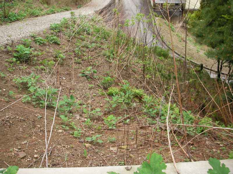 外観：328000607804