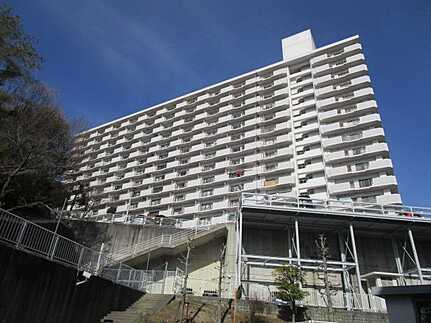 外観：334000214751