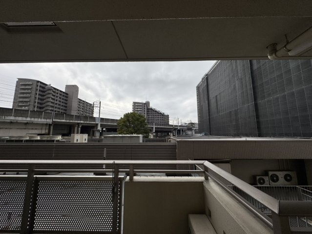 展望