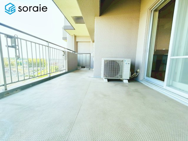 2026/5/19撮影