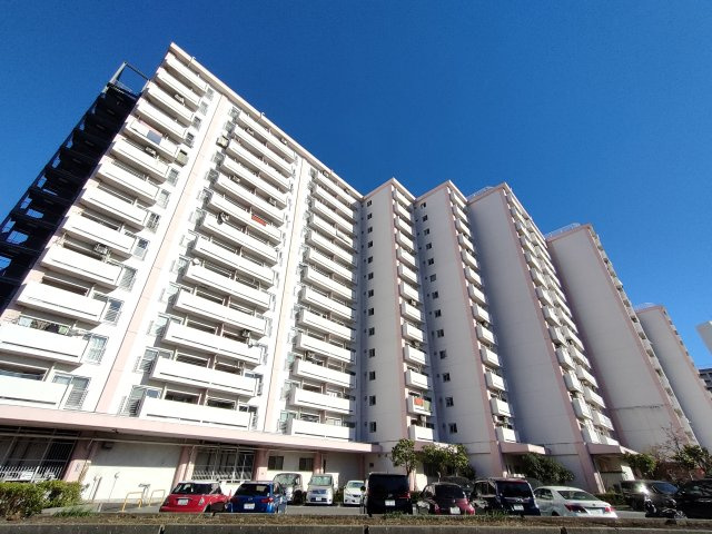 外観：313004444099