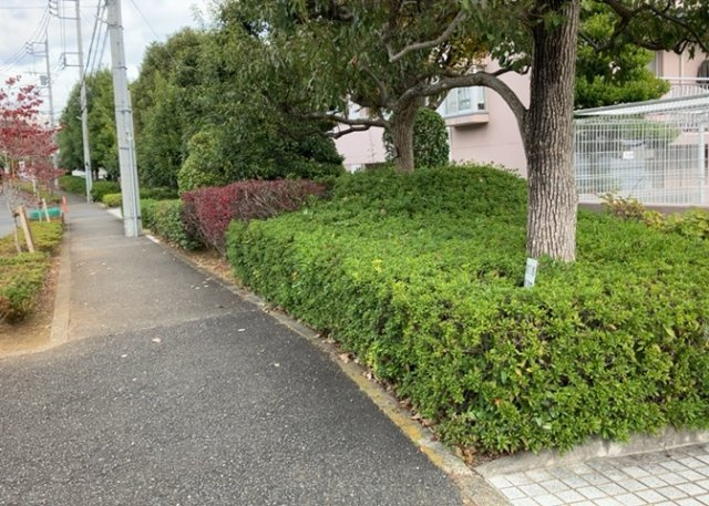 物件によっては、入居者が個人的に使用できる専用庭がついているものもあります。また、住宅の中にある土間の部分を庭と呼ぶこともあります。庭の用途は住む人によって変わり、それによってデザインもさまざまです。