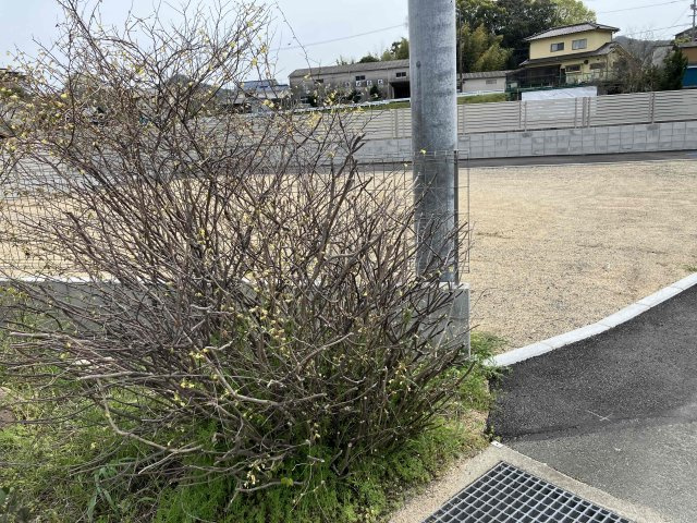 北西側より。隣地通路、画像奥フェンス向こうは池となってます。遮蔽物ありませんので日当たり良い宅地です。