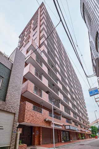 外観：313004702292