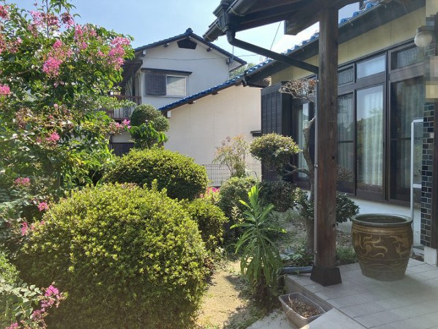 庭