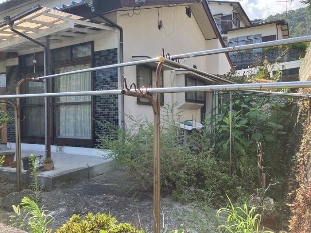庭