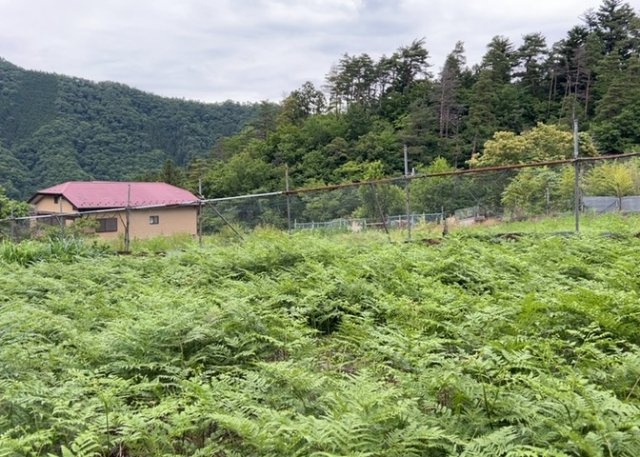 土地探しをしていると都市計画区域という言葉を目にすると思います。法律によって、都道府県知事や国土交通大臣が指定するエリアのことを指しており、都市計画区域は市街化区域と市街化調整区域に分けられています。