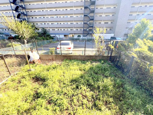 庭