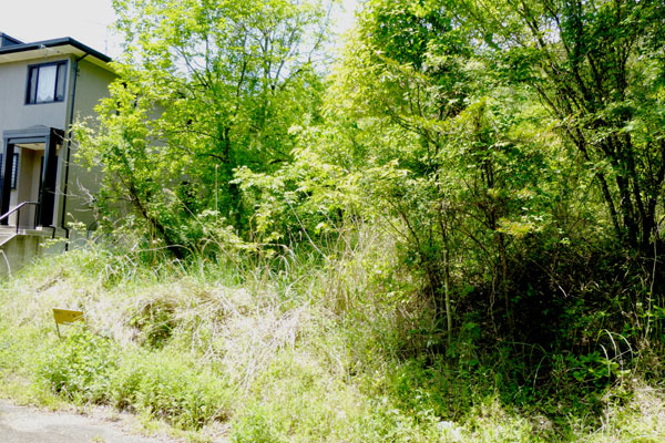 外観：328000623296