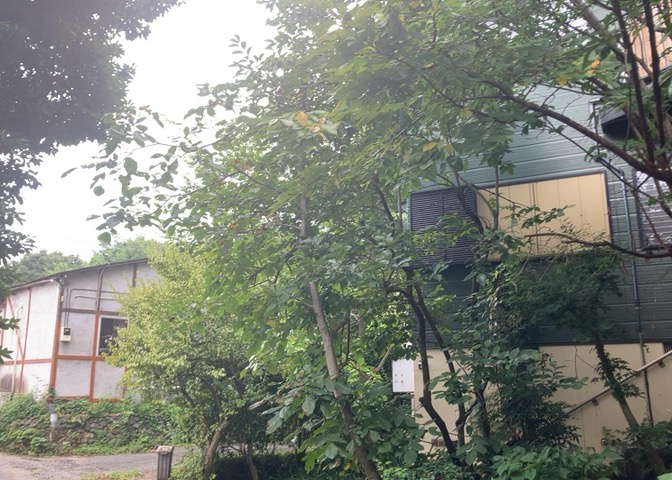 田園風景が味わえる土地に住みたい！海や山の見える自然豊かな土地に住みたい！などご要望に併せて当社営業がご提案させて頂きます。当社が抱えている数ある物件の中からお客様が納得する1件を一緒に探しましょう！