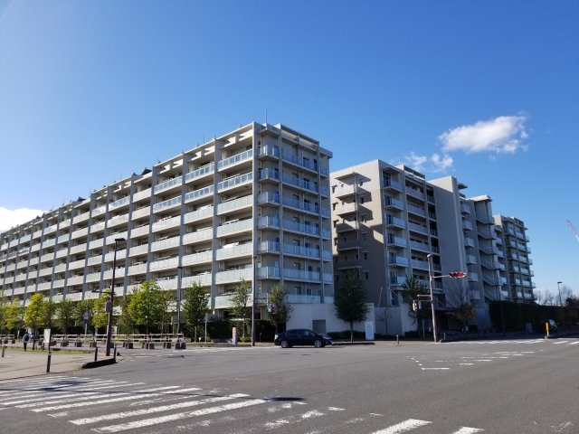 外観：311002366167